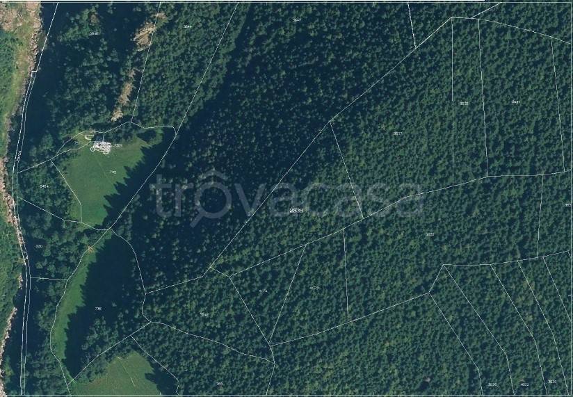 terreno agricolo in vendita a Schilpario