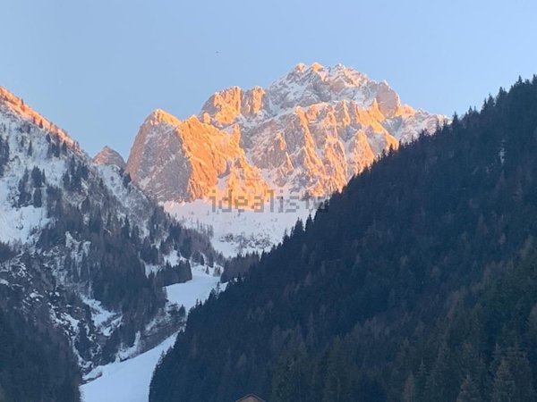 appartamento in vendita a Schilpario