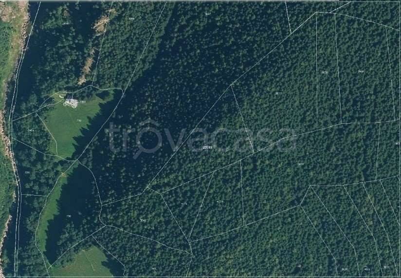terreno agricolo in vendita a Schilpario in zona Ronco