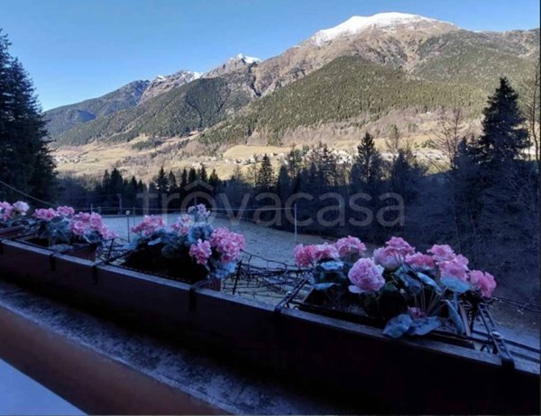 appartamento in vendita a Schilpario in zona Pradella
