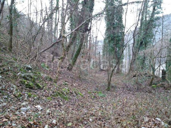 terreno agricolo in vendita a Sedrina