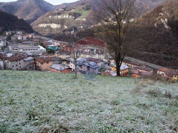 terreno agricolo in vendita a Sedrina