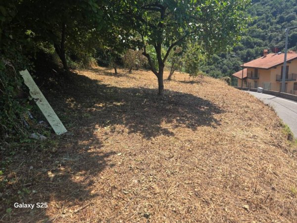 villa in vendita a Sedrina in zona Botta