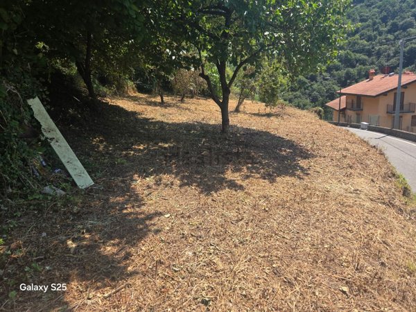 casa indipendente in vendita a Sedrina