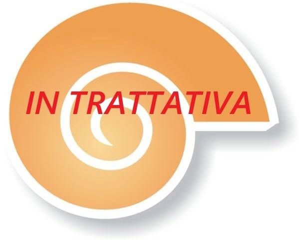 appartamento in vendita a Sedrina