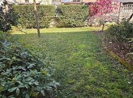 terreno edificabile in vendita a Seriate