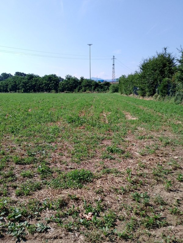 terreno edificabile in vendita a Seriate in zona Paderno