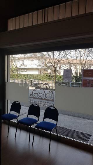 negozio in vendita a Seriate in zona Paderno