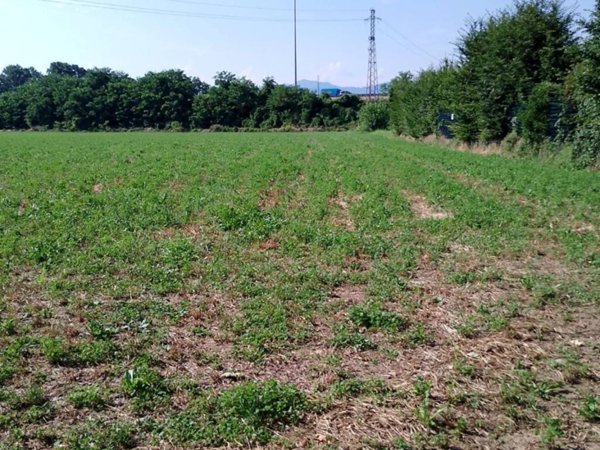 terreno agricolo in vendita a Seriate in zona Paderno