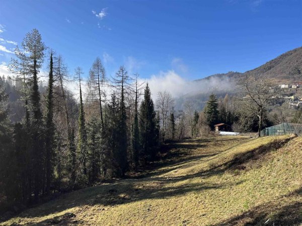 terreno edificabile in vendita a Serina