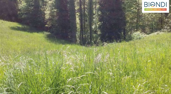 terreno agricolo in vendita a Serina
