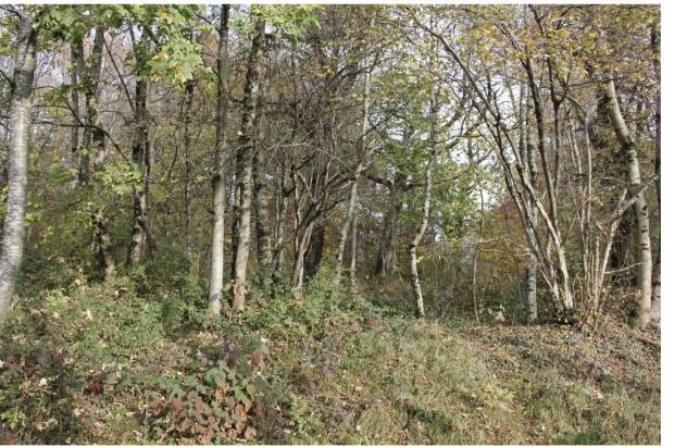 terreno agricolo in vendita a Serina