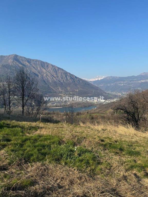 terreno agricolo in vendita a Solto Collina