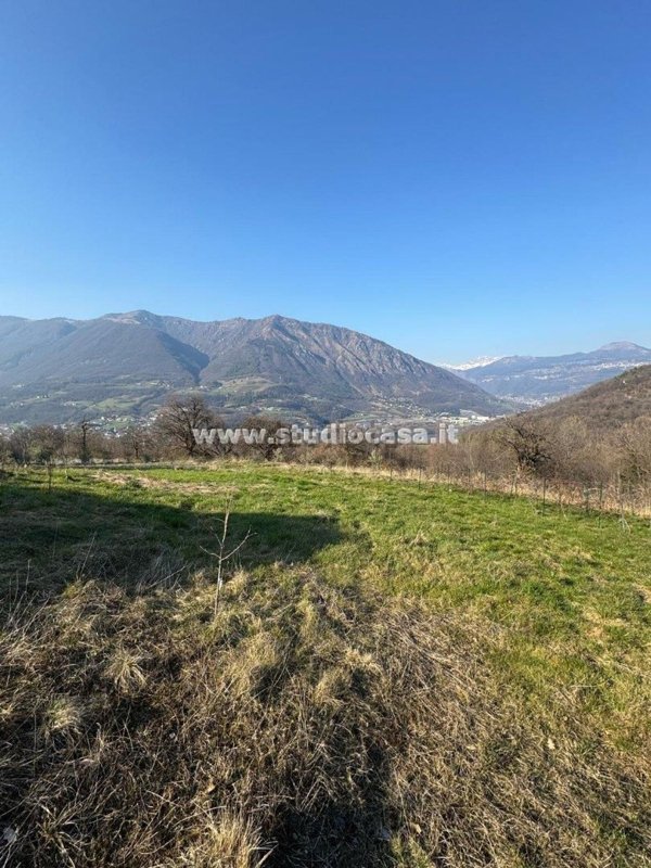terreno agricolo in vendita a Solto Collina