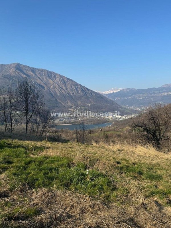 terreno agricolo in vendita a Solto Collina