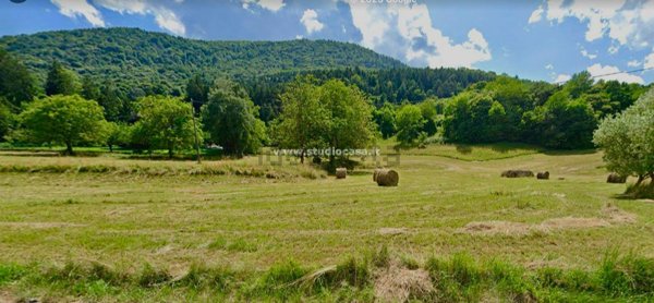 terreno agricolo in vendita a Solto Collina