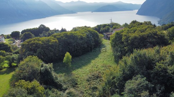terreno agricolo in vendita a Solto Collina