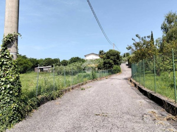 terreno agricolo in vendita a Solto Collina