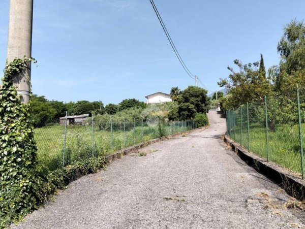 terreno agricolo in vendita a Solto Collina
