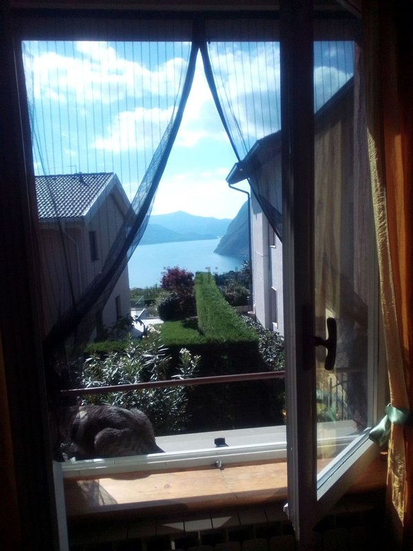 appartamento in vendita a Solto Collina