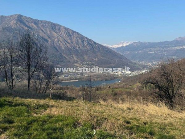 terreno agricolo in vendita a Solto Collina