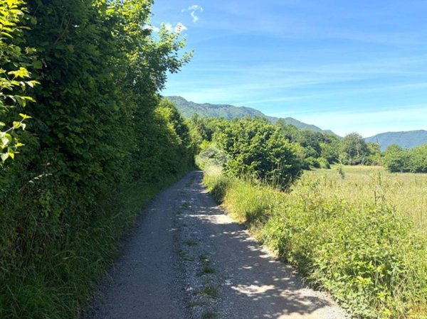 terreno agricolo in vendita a Solto Collina in zona Esmate