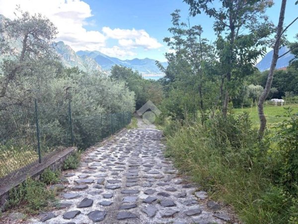 terreno agricolo in vendita a Solto Collina in zona Esmate