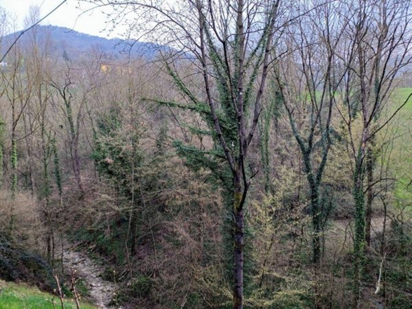 terreno agricolo in vendita a Sorisole
