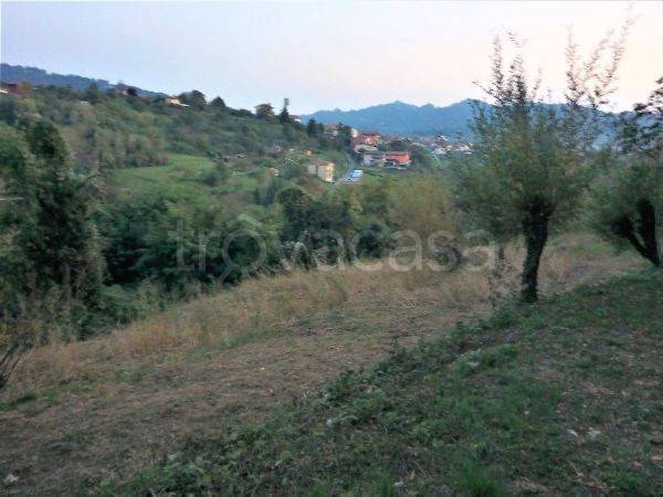 terreno agricolo in vendita a Sorisole in zona Sant'Anna