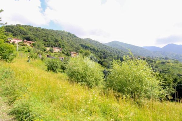 terreno agricolo in vendita a Sorisole