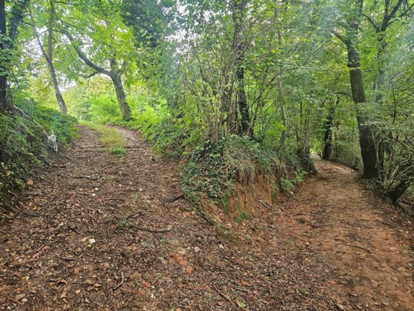 terreno agricolo in vendita a Sorisole