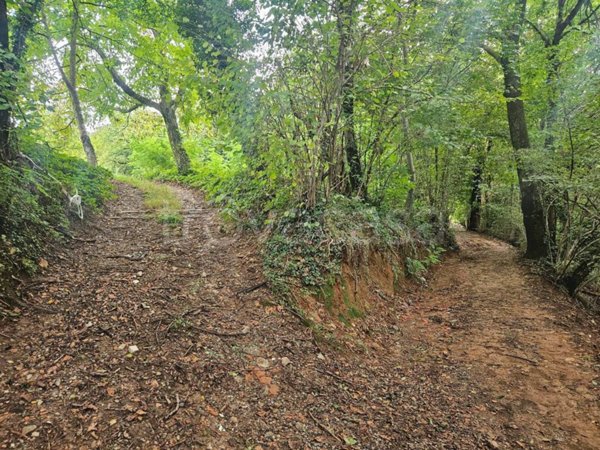 terreno agricolo in vendita a Sorisole