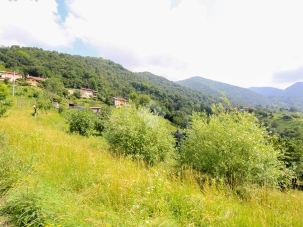 terreno agricolo in vendita a Sorisole