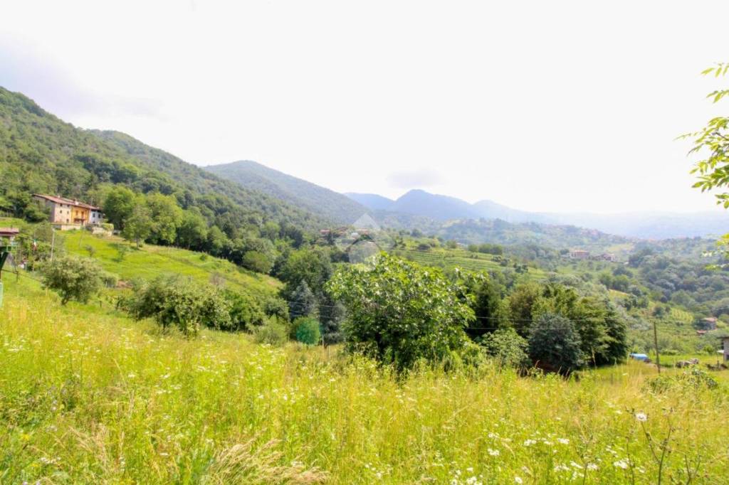 terreno agricolo in vendita a Sorisole