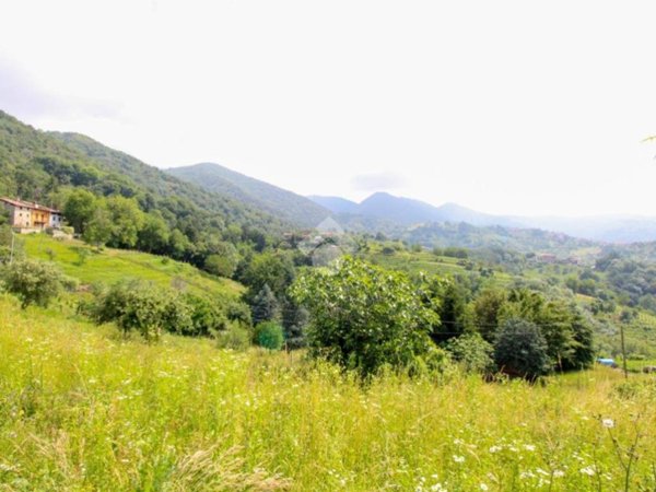 terreno agricolo in vendita a Sorisole