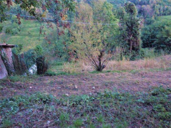 terreno agricolo in vendita a Sorisole in zona Sant'Anna
