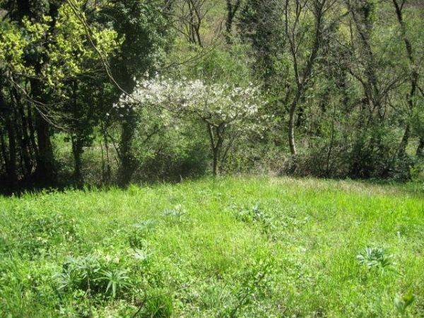 terreno in vendita a Sorisole in zona Sant'Anna