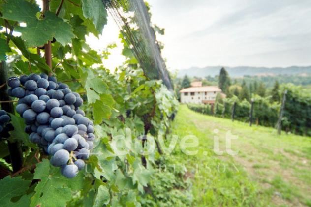 terreno agricolo in vendita a Sorisole