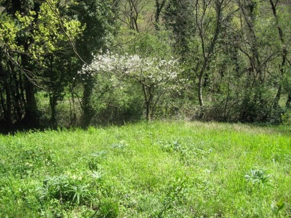 terreno agricolo in vendita a Sorisole in zona Sant'Anna