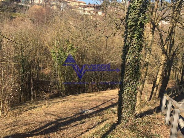 terreno agricolo in vendita a Sorisole