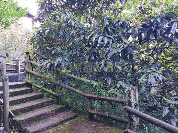 casa indipendente in vendita a Sotto il Monte Giovanni XXIII in zona Pratolongo