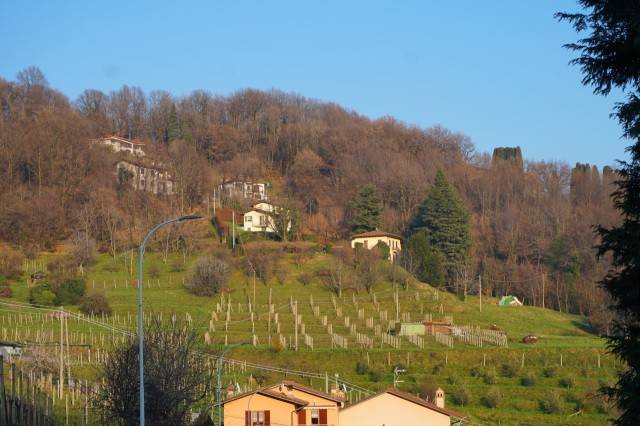 terreno agricolo in vendita a Sotto il Monte Giovanni XXIII in zona Fontanella