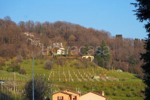 terreno agricolo in vendita a Sotto il Monte Giovanni XXIII in zona Fontanella