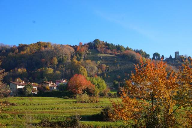 terreno agricolo in vendita a Sotto il Monte Giovanni XXIII