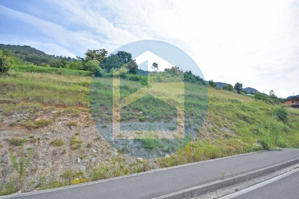 terreno agricolo in vendita a Sovere in zona Sellere