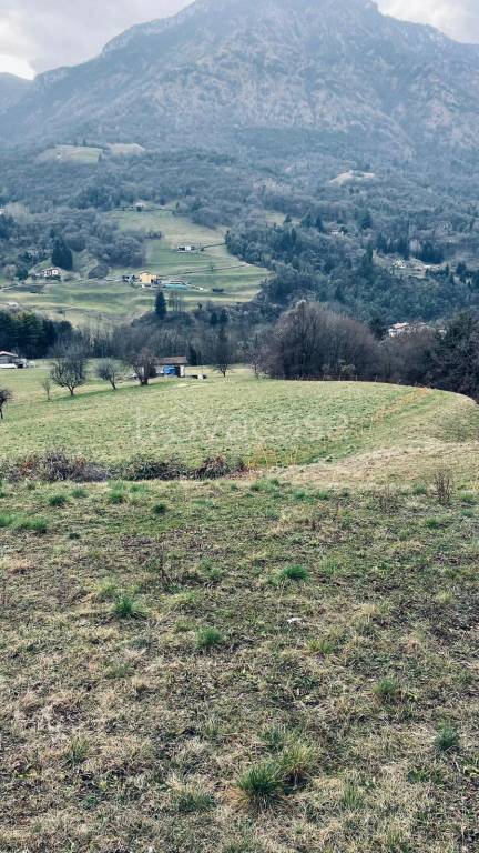 terreno agricolo in vendita a Sovere