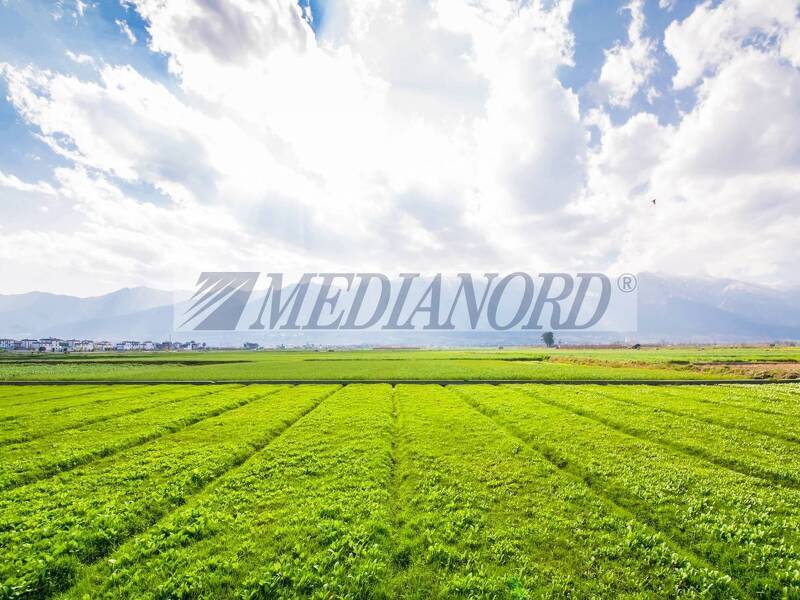 terreno agricolo in vendita a Stezzano