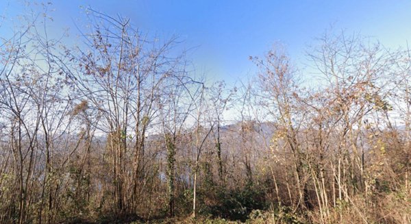 terreno agricolo in vendita ad Avigliana