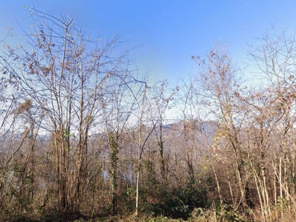 terreno agricolo in vendita ad Avigliana