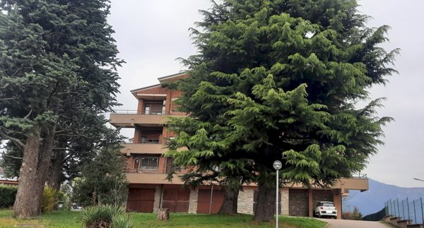 appartamento in vendita ad Avigliana